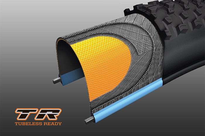 Maxxis Ignitor EXO TR
