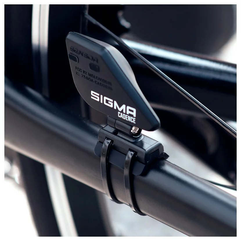 Sigma cadence sensor hotsell