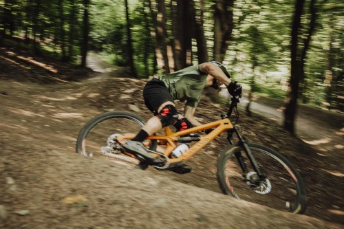 Force MTB Mount