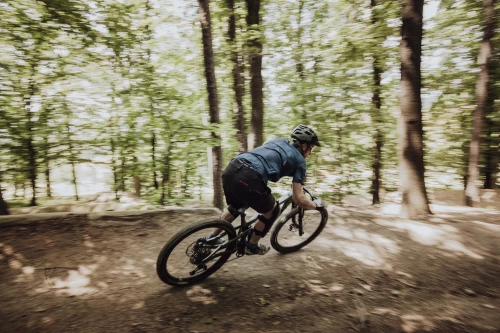 Force MTB Mount