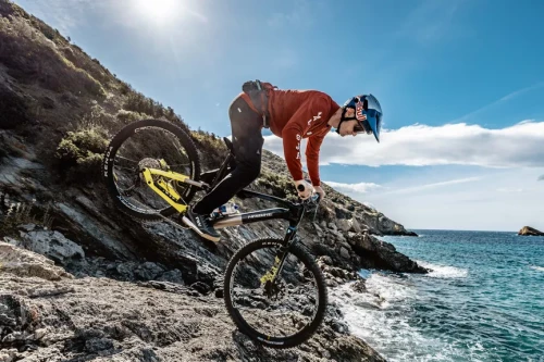 Haibike Lyke CF 11
