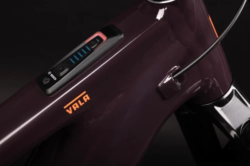 Santa Cruz Vala Al Deore (gloss stormbringer purple)