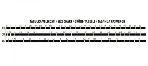 Force MTB Score