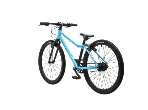 Rascal 24 (7 Speed Shimano Nexus)