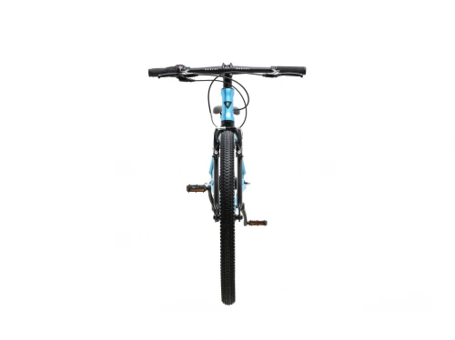 Rascal 24 (7 Speed Shimano Nexus)