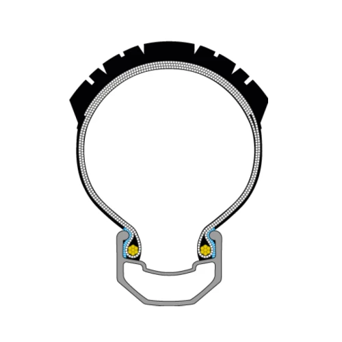 Schwalbe Wicked Will Performance TLR
