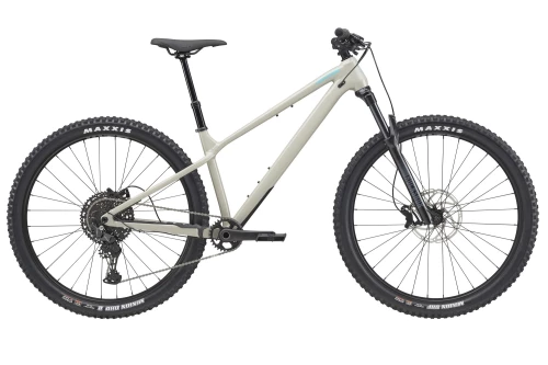 Liv Obsess SLR | SPOKE