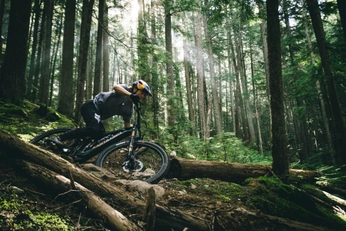 Santa Cruz Vala 1 Carbon C GX AXS Kit (midnight green)