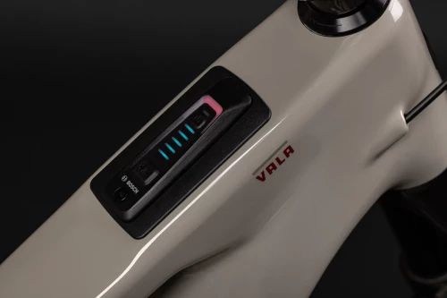 Santa Cruz Vala 1 Carbon CC XX AXS RSV Kit (gloss grey)