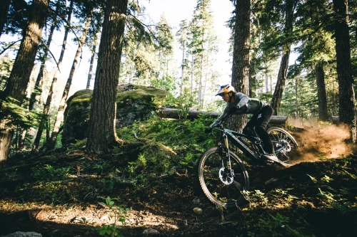 Santa Cruz Vala XX AXS RSV (midnight green)