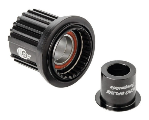 DT Swiss Shimano Microspline Ratchet Rotor Kit (12 mm)