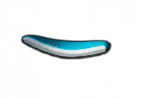 tectal race spin interior