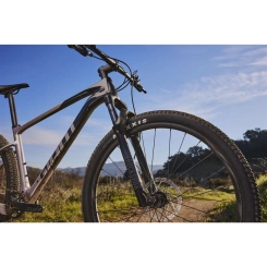 Giant XTC Advanced 29 3