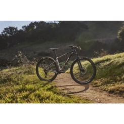 Giant XTC Advanced 29 3