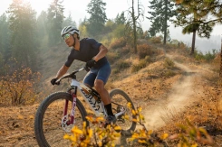 Giant Anthem Advanced SL SE