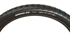 Maxxis Aspen Maxxspeed EXO TR 120 TPI