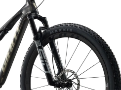 Giant Anthem Advanced SL 0 Raw Carbon