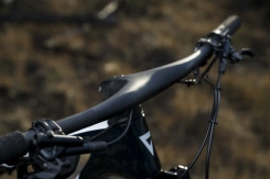 Giant Anthem Advanced SL 2