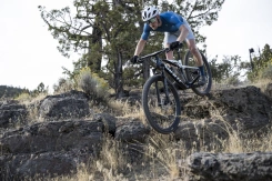 Giant Anthem Advanced SL 2