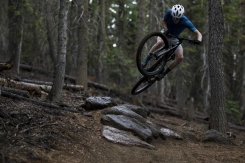 Giant Anthem Advanced SL 3 Carbon/Moon Dust