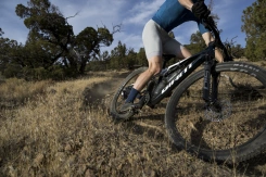 Giant Anthem Advanced SL 3 Carbon/Moon Dust