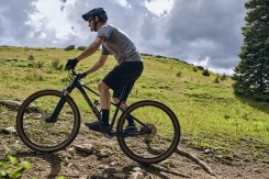 Giant Talon 29 2 Asphalt Green