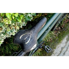 Selle Royal Lookin Athletic