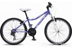 2014 Superior XC 24" Paint Purple Milka