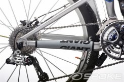 Giant Chainstay Protector