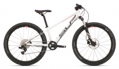 Superior Team 24 2021