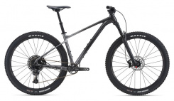 Giant Fathom 29 1 2021