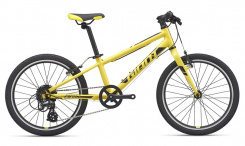 Giant ARX 20" 2020