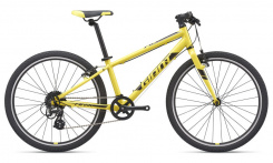 Giant ARX 24" 2021