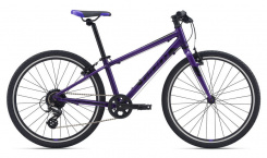 Giant ARX 24" 2021