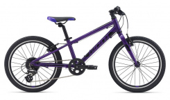 Giant ARX 20" 2021