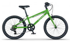 Levit Kogo 20