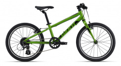 Giant ARX 20"
