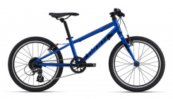 Giant ARX 20"