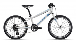 Giant ARX 20"