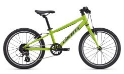 Giant ARX 20"