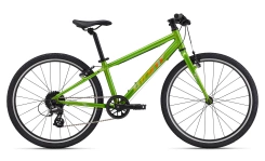 Giant ARX 24"