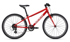 Giant ARX 24"