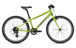 Giant ARX 24"