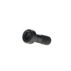 Bosch Purion 400 Screw