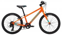 C-Dale Quick 20" Boys 19
