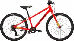 C-Dale Quick 24" Boys 21