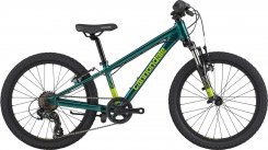 C-Dale Trail 20" Boys 20