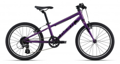 Giant ARX 20"