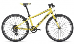 Giant ARX 24" 2020