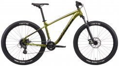 Kona Lana’i 2021 (green)